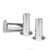 Countersunk head solid rivets 01 Countersunk head solid rivets