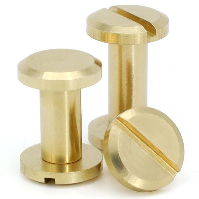 Stainless Steel Flat Slotted Chicago Screws for Furniture Assembly