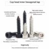 Allen Socket Head Cap Self Tapping Wood Screw