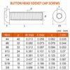 Button Head Socket Cap Bolts Screws 05 Button Head Socket Cap Bolts Screws