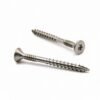 CSK Torx Double Thread Composite Deck Screw 01 CSK Torx Double Thread Composite Deck Screw