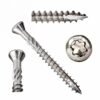 Pan Torx Decorative Head Screw