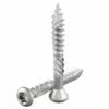Pan Torx Decorative Head Screw