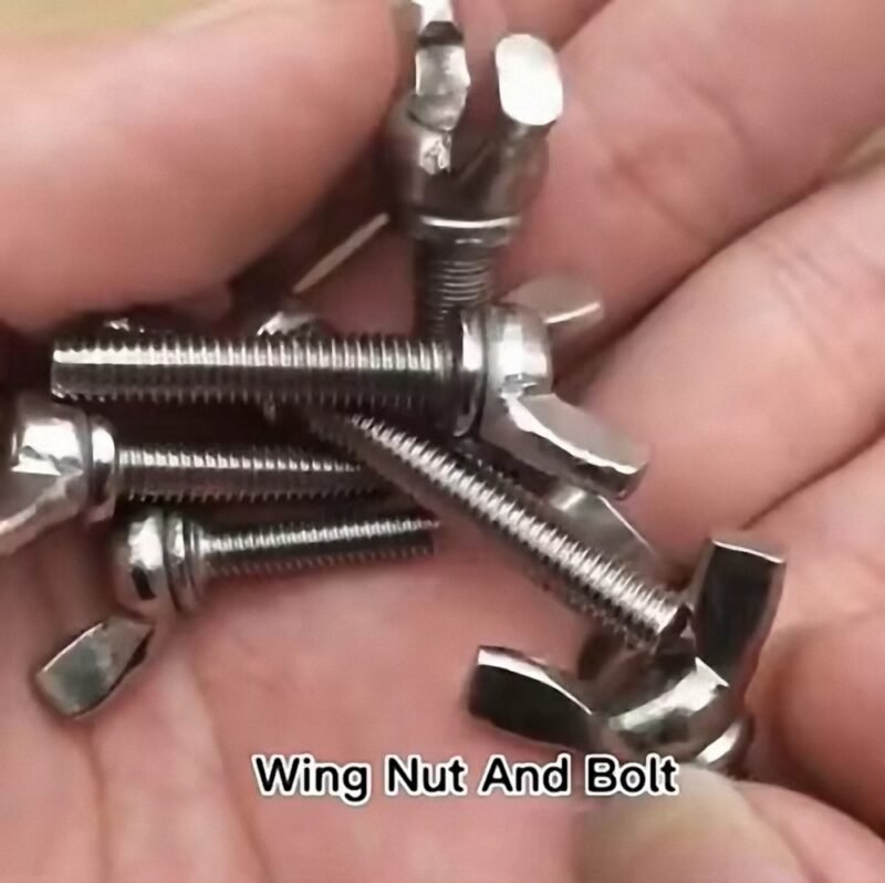 Stainless Steel DIN315 Wing Butterfly Nut