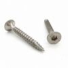 Torx Head 14G Bugle Batten Wood Screw